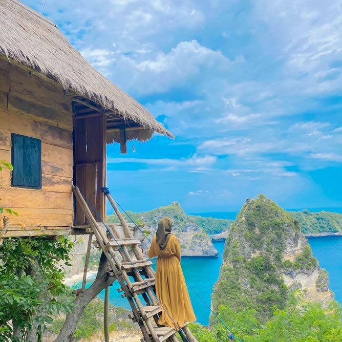 rumah pohon nusa penida